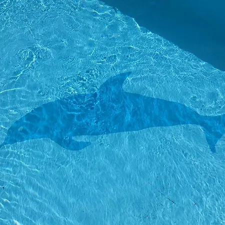 Marina Gromela Apartment